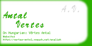 antal vertes business card